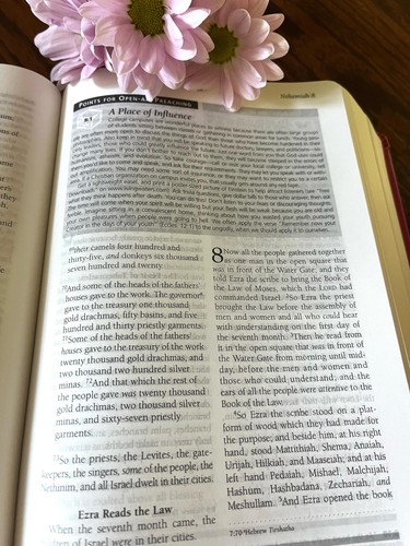 Nkjv complete evidence study - nkjv,